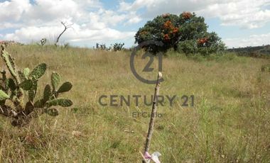 Venta de lotes en Haras del Bosque, zona Acres