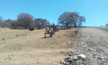 Venta de lotes en Haras del Bosque, zona Acres