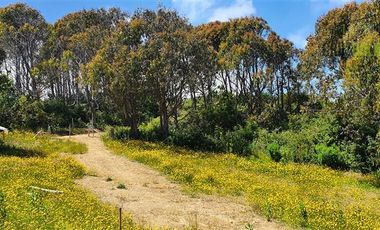 Parcela en Venta en Estaquilla, Río Juancho, frente al mar