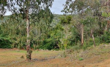 Parcela en Venta en Estaquilla, Río Juancho, frente al mar
