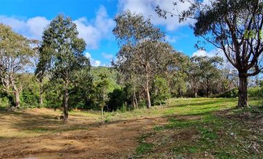 Parcela en Venta en Estaquilla, Río Juancho, frente al mar