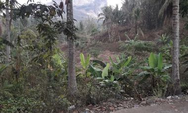 Land for sale