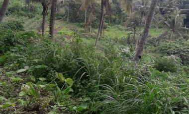 Land for sale