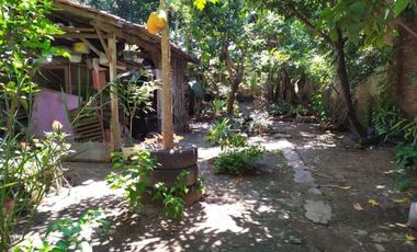 Murah rumah mewah dan ruko pinggir jalan raya pemalang