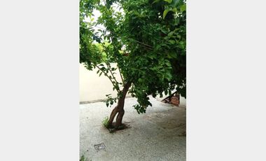 Casa  en Venta Ramos Mejia / La Matanza (B111 401)