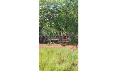 VENDO FINCA DE 37 HECTAREAS, VIA MARIATO