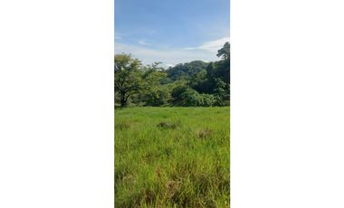 VENDO FINCA DE 37 HECTAREAS, VIA MARIATO