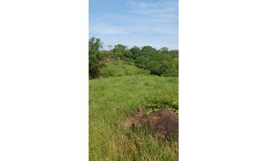 VENDO FINCA DE 37 HECTAREAS, VIA MARIATO