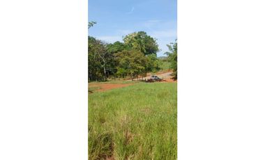 VENDO FINCA DE 37 HECTAREAS, VIA MARIATO