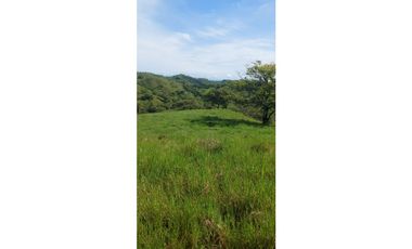 VENDO FINCA DE 37 HECTAREAS, VIA MARIATO