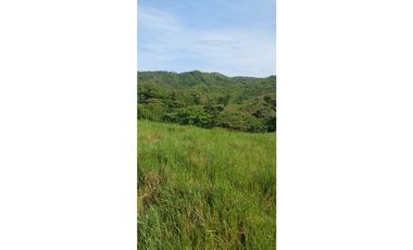 VENDO FINCA DE 37 HECTAREAS, VIA MARIATO