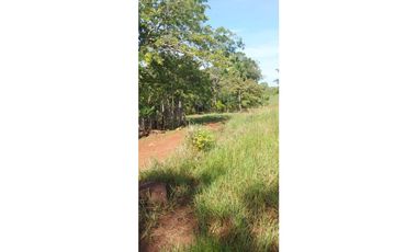 VENDO FINCA DE 37 HECTAREAS, VIA MARIATO