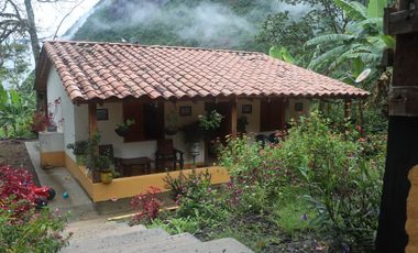 Venta Finca Fredonia, suroeste de antioqueño