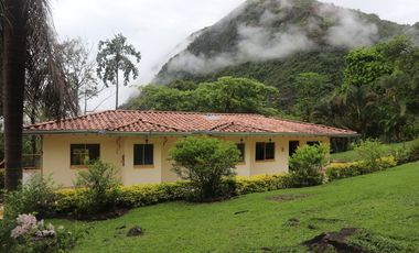 Venta Finca Fredonia, suroeste de antioqueño