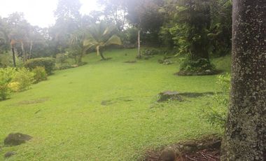 Venta Finca Fredonia, suroeste de antioqueño