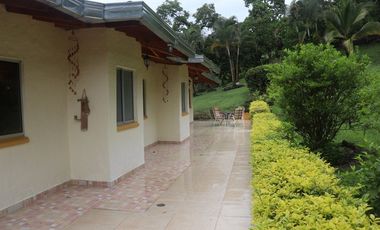 Venta Finca Fredonia, suroeste de antioqueño