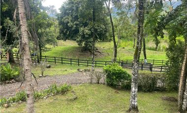 Venta Finca Fredonia, suroeste de antioqueño