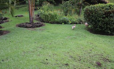 Venta Finca Fredonia, suroeste de antioqueño