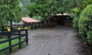Venta Finca Fredonia, suroeste de antioqueño