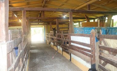 Venta Finca Fredonia, suroeste de antioqueño