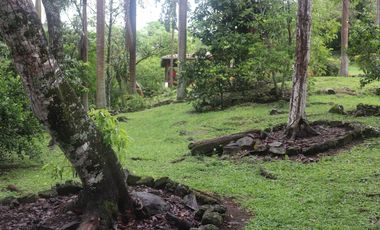 Venta Finca Fredonia, suroeste de antioqueño