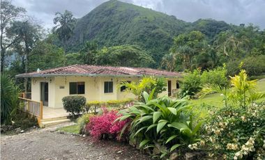 Venta Finca Fredonia, suroeste de antioqueño