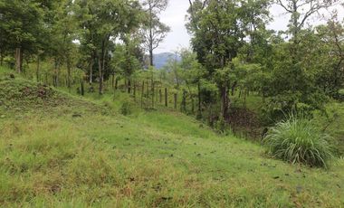 Venta Finca Fredonia, suroeste de antioqueño