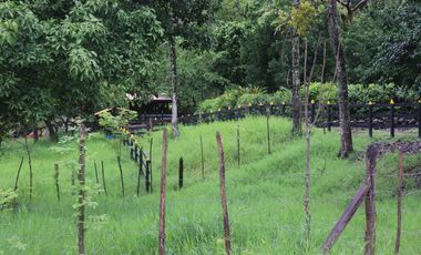 Venta Finca Fredonia, suroeste de antioqueño