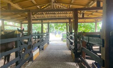 Venta Finca Fredonia, suroeste de antioqueño