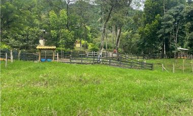 Venta Finca Fredonia, suroeste de antioqueño