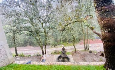Casa Colonial en el Bosque de Mineral del Monte: Tranquilidad y Estilo de Vida Exclusivo
