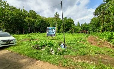 Rumah Dijual Murah Di Jogja Butuh Uang