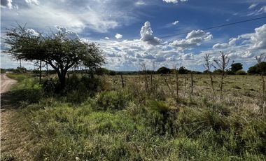 Vendo Campo de 3 hectáreas en Concepción del Uruguay, Entre Ríos.