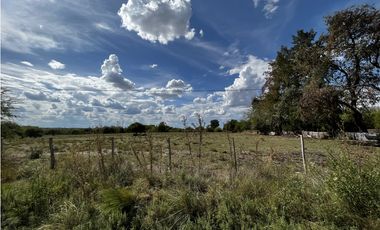 Vendo Campo de 3 hectáreas en Concepción del Uruguay, Entre Ríos.
