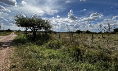 Vendo Campo de 3 hectáreas en Concepción del Uruguay, Entre Ríos.