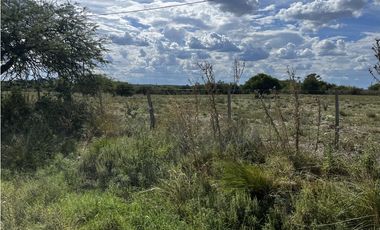 Vendo Campo de 3 hectáreas en Concepción del Uruguay, Entre Ríos.