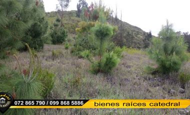 Terreno de venta en Challuabamba - Apangora – código:16837