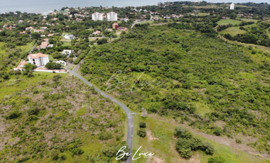Se vende Terreno de 8 hectareas en Punta Barco, Coronado (5)