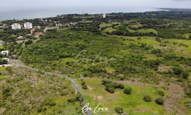 Se vende Terreno de 8 hectareas en Punta Barco, Coronado (5)