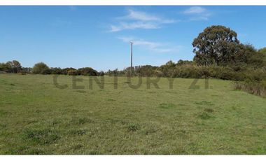 Terreno 1 ha a pasos de la Escuela Ñereco, Lautaro