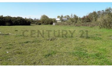 Terreno 1 ha a pasos de la Escuela Ñereco, Lautaro