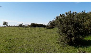 Terreno 1 ha a pasos de la Escuela Ñereco, Lautaro