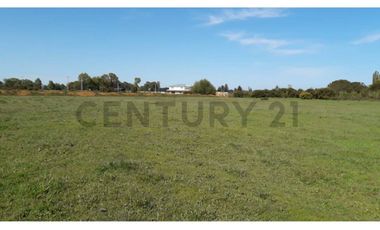 Terreno 1 ha a pasos de la Escuela Ñereco, Lautaro