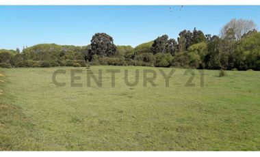 Terreno 1 ha a pasos de la Escuela Ñereco, Lautaro