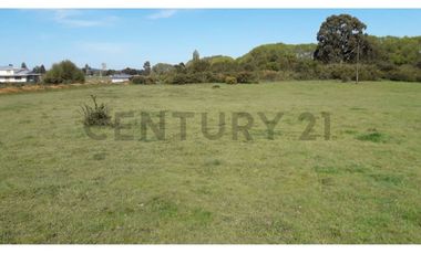 Terreno 1 ha a pasos de la Escuela Ñereco, Lautaro