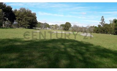 Terreno 1 ha a pasos de la Escuela Ñereco, Lautaro