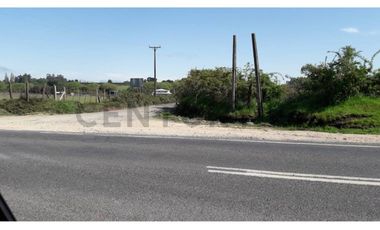 Terreno 1 ha a pasos de la Escuela Ñereco, Lautaro