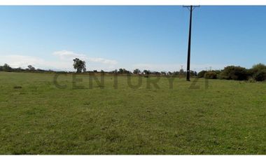 Terreno 1 ha a pasos de la Escuela Ñereco, Lautaro