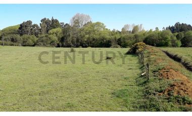Terreno 1 ha a pasos de la Escuela Ñereco, Lautaro