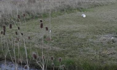 Quinta de 4.800 m2 en Ingeniero Allan, Florencio Varela, zona rural